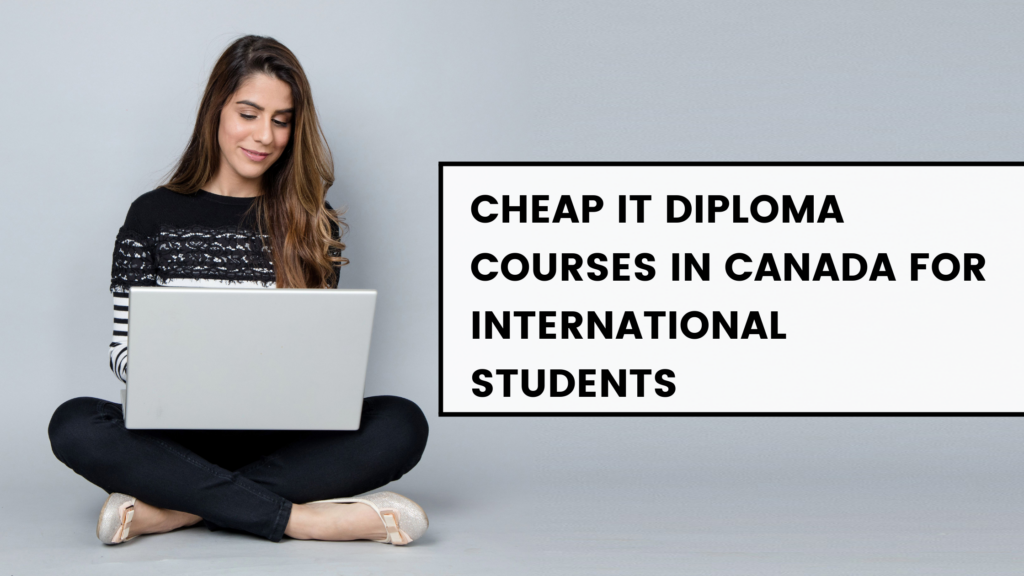 Cheap IT Diploma Courses in Canada for International Students